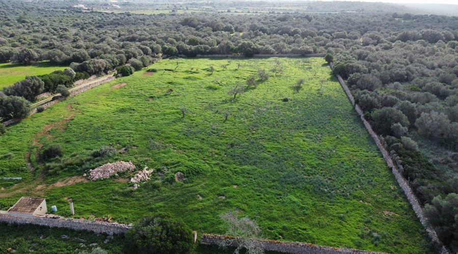 Plot for sale in Ses Salines
