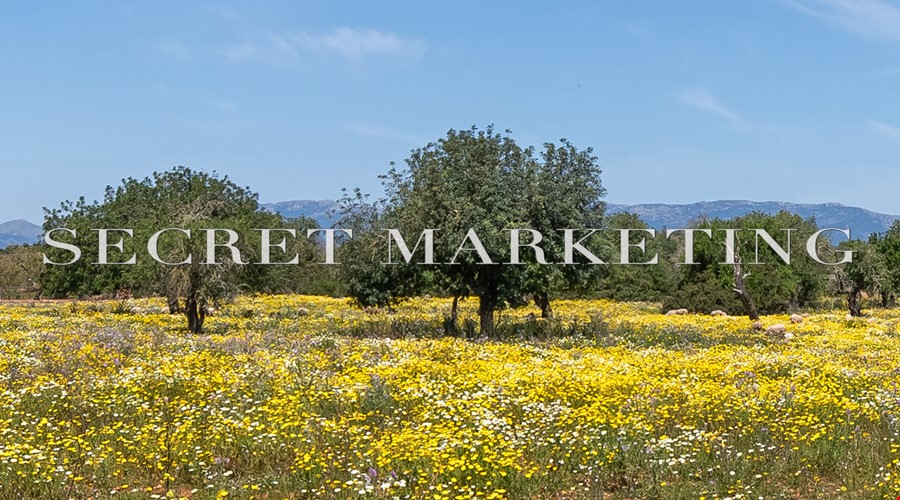 Finca for sale in Santa Maria