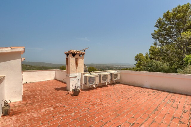 Gallery image 15