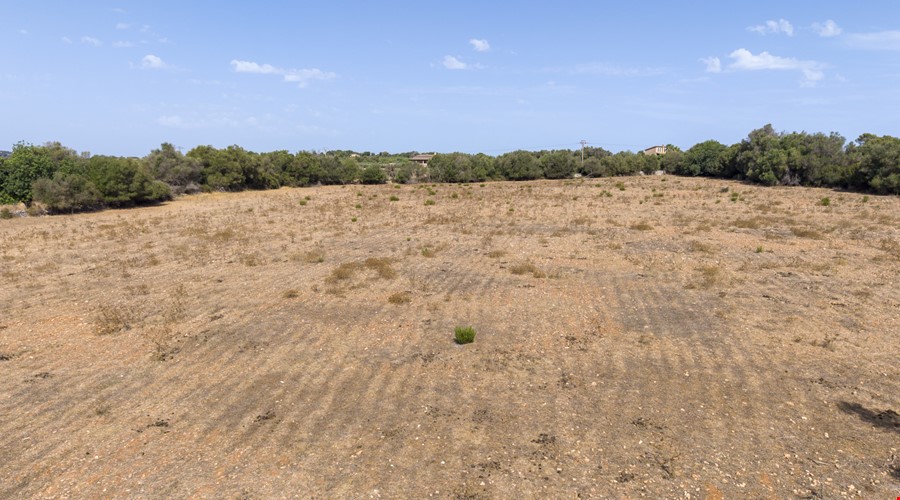 Gallery image 14